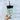 Shamrocks & Rainbows - Coffee Cozy